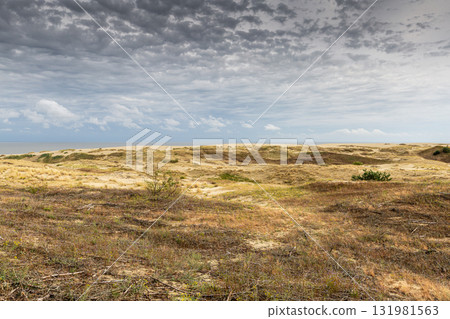 Curonian Spit National Park. Zelenogradsk, Kaliningrad Oblast, Russia. Curonian Spit National Park. Zelenogradsk, Kaliningrad Oblast, Russia. 131981563