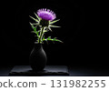 Dramatic still life of a single purple milk thistle flower in a black vase on a dark background 131982255
