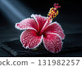 Frozen red hibiscus flower covered with ice crystals on a dark slate plate in a spotlight 131982257