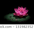 Beautiful pink lotus flower with water drops on a green leaf isolated on a black background 131982352