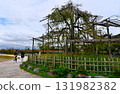 Scenery of Uji Park 131982382