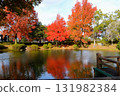 A beautiful park with autumn leaves reflected in the pond 131982384
