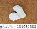 soft white slippers on the beige Interior pile carpet. 131982688
