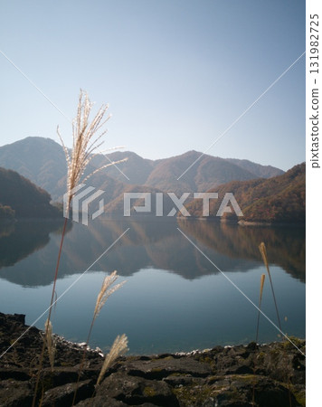 Japanese silver grass at Lake Kuzuryu 2 Japanese silver grass at Lake Kuzuryu 2 131982725