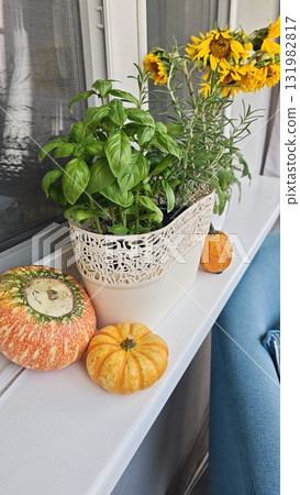 Fresh basil and rosemary in a decorative pot with pumpkins and sunflowers on a windowsill Fresh basil and rosemary in a decorative pot with pumpkins and sunflowers on a windowsill 131982817