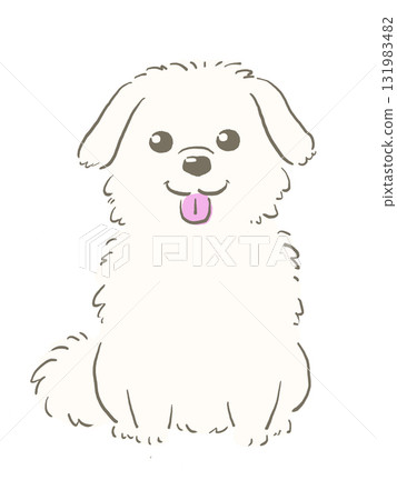 Sitting Maltese Sitting Maltese 131983482