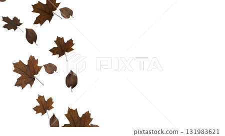 The Autumn Leaf  png image for Season or holiday concept 3d Rendering. 131983621