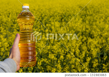 A person holds a bottle of golden canola oil against a backdrop of bright yellow rapeseed flowers in full bloom under sunlight 131983863