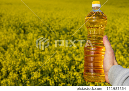 A hand holds a bottle of rapeseed oil in front of a vast field of bright yellow canola flowers under clear blue skies A hand holds a bottle of rapeseed oil in front of a vast field of bright yellow canola flowers under clear blue skies 131983864