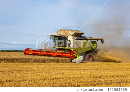 A powerful harvester is working in a golden field, gathering ripe crops under a clear sky in a productive farming scene 131983889
