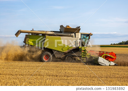 A large harvester moves through a field, efficiently collecting harvested crops under a clear blue sky in the afternoon light 131983892