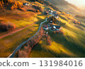 Aerial view of amazing green alpine meadows, orange trees, hills 131984016