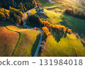 Aerial view of amazing green alpine meadows, orange trees, hills 131984018
