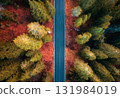 Aerial view of road in colorful autumn forest at sunrise 131984019