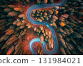 Aerial view of winding serpentine road in colorful autumn forest 131984021