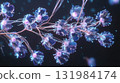 Microscopic view of floating bioluminescent plankton, abstract underwater organisms with glowing details 131984174