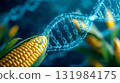 Genetically modified corn with luminous DNA helix, a biotechnology and genetic engineering concept for agricultural innovation 131984175