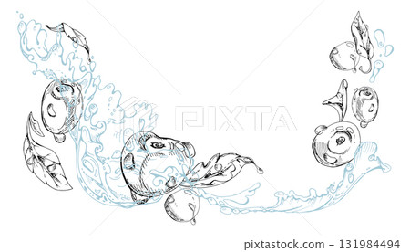Sour sweet cherry cerise flying in water splashes drops, hand drawn vector ink, ripe line garden berry and leaves. Isolated composition illustration. Restaurant cafe menu, farmers market, wedding 131984494