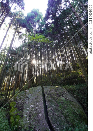 Moss-covered rock Yagyu Ittoseki Moss-covered rock Yagyu Ittoseki 131984692