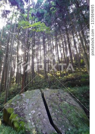 青苔覆蓋的岩石 柳生一刀石 青苔覆蓋的岩石 柳生一刀石 131984695