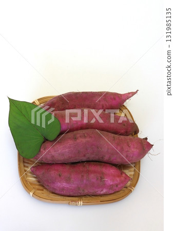 Freshly picked sweet potatoes (Beni Haruka, vertical composition) 131985135