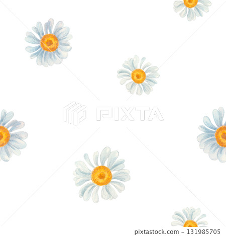 Seamless daisy pattern in hand-drawn watercolor style. Chamomiles on a white background. 131985705
