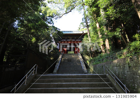 久能山東照宮、靜岡縣、駿河、中央無線電塔、日本平數字塔 131985904