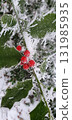 Hoar frost covering holly berries, mobile photo. Concept of winter, nature, berry, seasonal landscape. 131985935