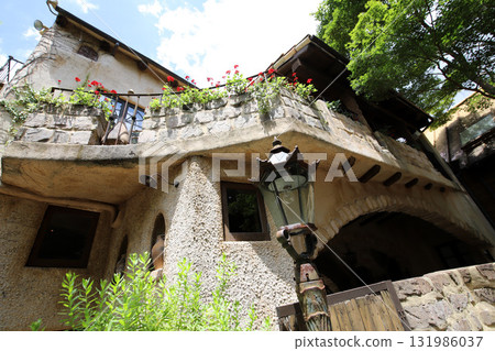 Hamamatsu City, Shizuoka Prefecture Warmth Forest 131986037