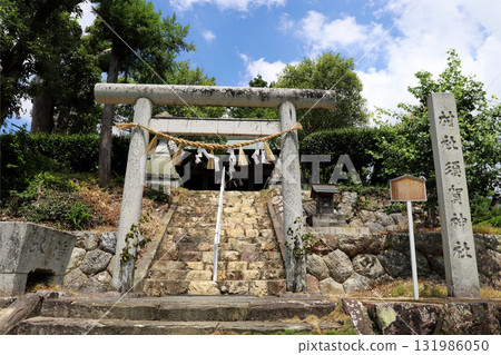 靜岡縣濱松市溫暖森林 131986050