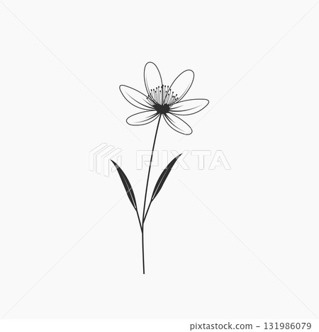 Single Flower on White Background. Single Flower on White Background. 131986079