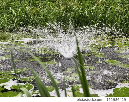 A Serene Water Fountain Setting Surrounded by Lush, Vibrant Greenery and Natures Beauty A Serene Water Fountain Setting Surrounded by Lush, Vibrant Greenery and Natures Beauty 131986429