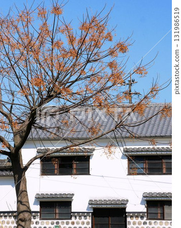 Muratsu Family Residence, an old building in Hinagu Onsen (Yatsushiro City, Kumamoto Prefecture) 131986519