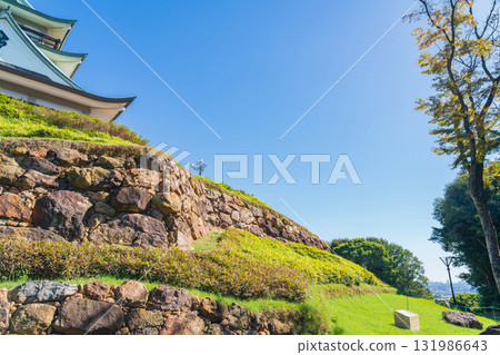 Komakiyama Castle, a stone fortress built by Oda Nobunaga, where excavations continue (Komaki City, Aichi Prefecture) 131986643