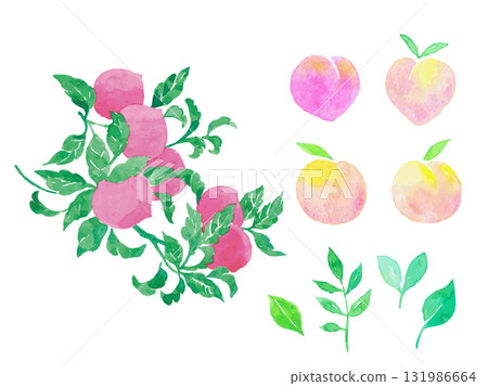 新鮮桃子和葉子的水彩插圖 131986664