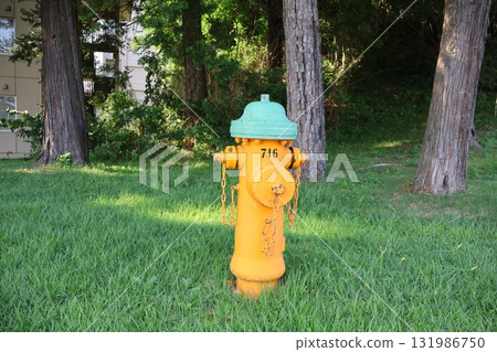 黃色消防栓 131986750