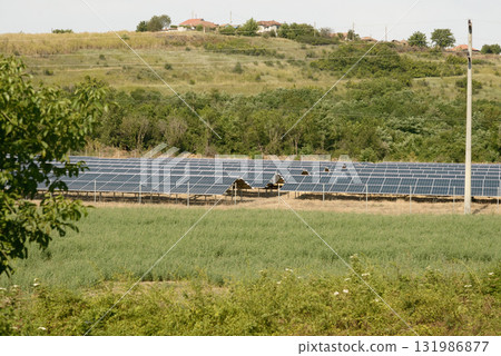 Solar Energy Panels in Countryside Field 131986877