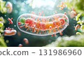 Detail structure and functions of Intricate microscopic and vibrant close-up of bacteria of mitochondria in cell 131986960