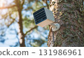 Solar panel energy powered security camera mounted on a tree in a sunny park 131986961