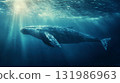 A whale swimming underwater blue ocean in sunlight filtering through the water 131986963
