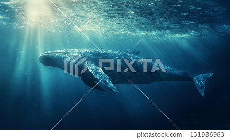 A whale swimming underwater blue ocean in sunlight filtering through the water A whale swimming underwater blue ocean in sunlight filtering through the water 131986963
