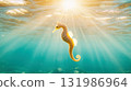 Cute Seahorse underwater blue sea with golden sunlight filtering through the water 131986964