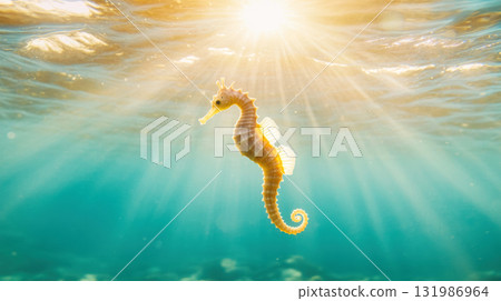 Cute Seahorse underwater blue sea with golden sunlight filtering through the water Cute Seahorse underwater blue sea with golden sunlight filtering through the water 131986964
