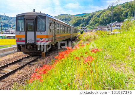 秋花爛漫的岡山縣岡山市北區，津山線「KIHA 120號」普通列車開往岡山2號站方向 131987376