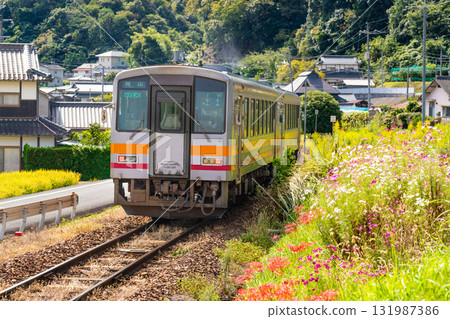 Kiha 120 series local train bound for Okayama Station 1 running on the Tsuyama Line amid autumn flowers in Kita-ku, Okayama City, Okayama Prefecture Kiha 120 series local train bound for Okayama Station 1 running on the Tsuyama Line amid autumn flowers in Kita-ku, Okayama City, Okayama Prefecture 131987386