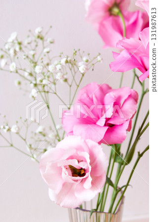 Turkish bellflower and baby's breath Turkish bellflower and baby's breath 131987613
