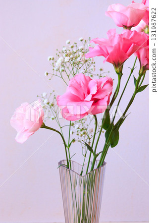 Turkish bellflower and baby's breath Turkish bellflower and baby's breath 131987622