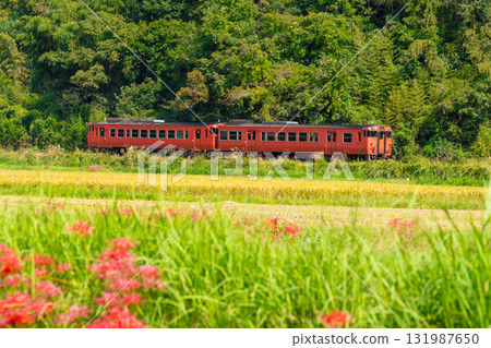 Tsuyama Line local train bound for Okayama Station 2 running through the autumn countryside. Kumenan Town, Kume District, Okayama Prefecture 131987650