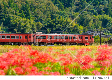 開往岡山3號站的津山線普通列車，行駛在秋日的田園風光。岡山縣久米郡久米南町 131987651
