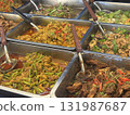 Authentic Thai Street Food: Colorful Curry and Vegetables Buffet 131987687